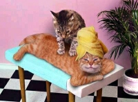 Cats love back rubs!