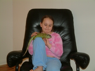 Vamp is my cool pet iguana.